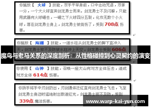 魔鸟与老马关系的深度剖析：从性格碰撞到心灵契约的演变